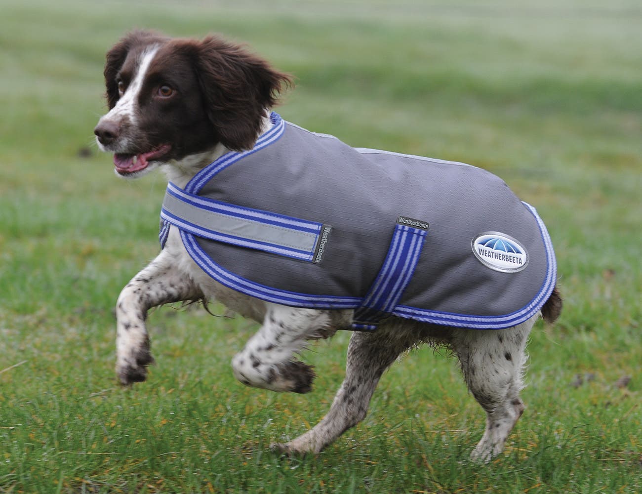 WeatherBeeta Thermi-Heat Dog Coat