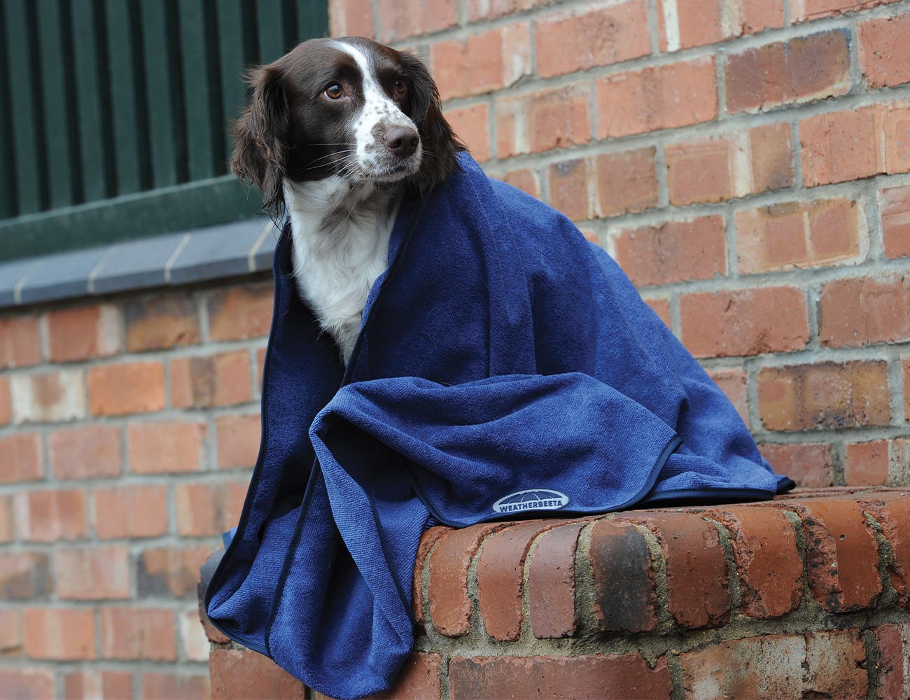 WeatherBeeta Dog Towel WeatherBeeta Dog Towel