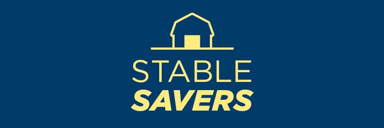 Stable Savers