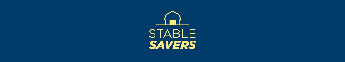 Stable Savers